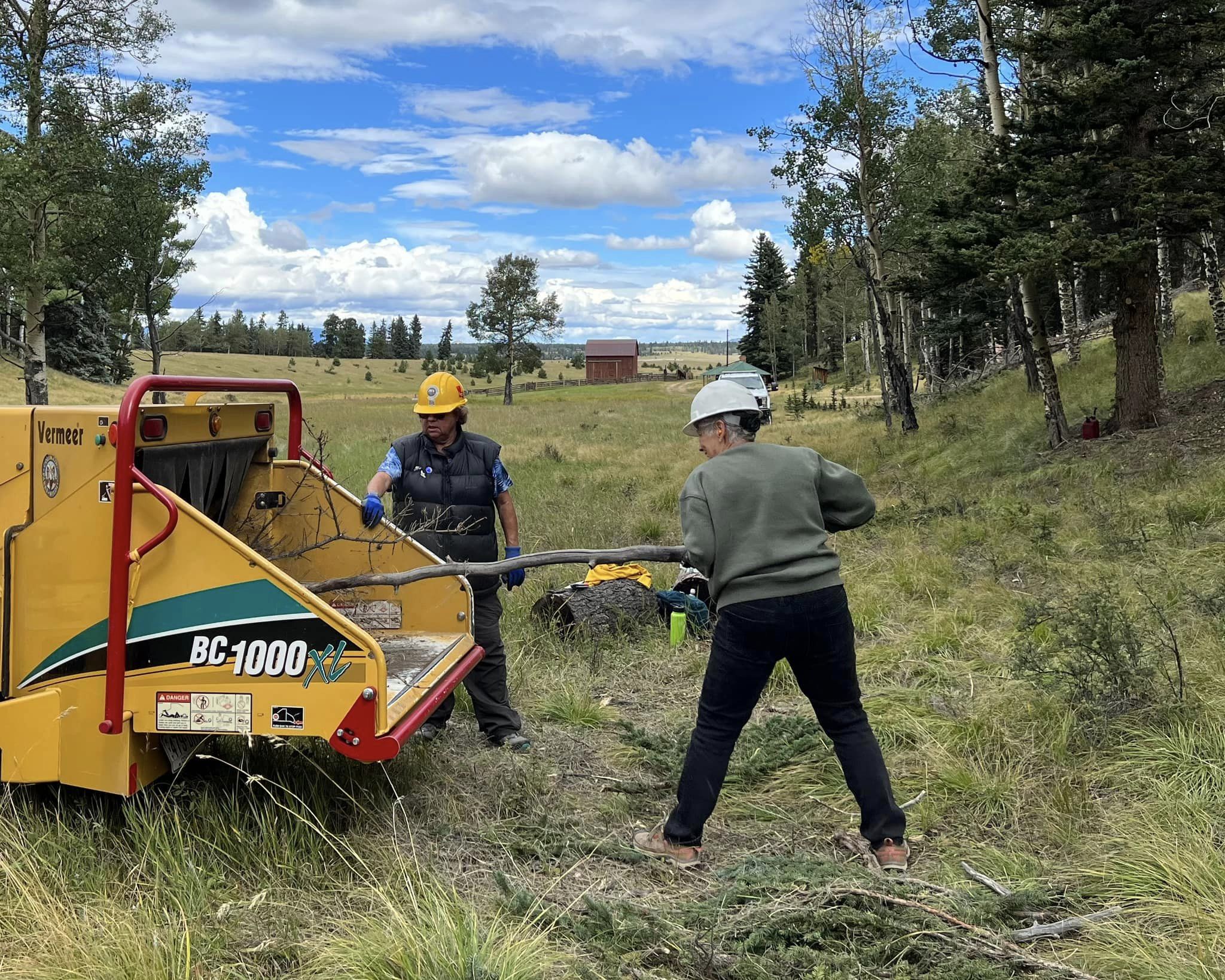 Environmental Project 2