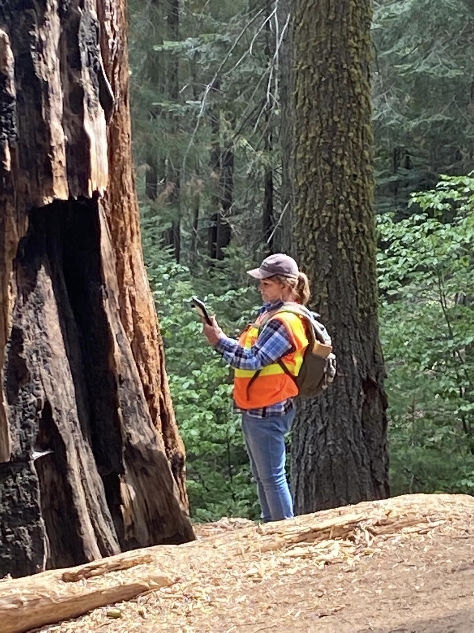 Environmental Project 5