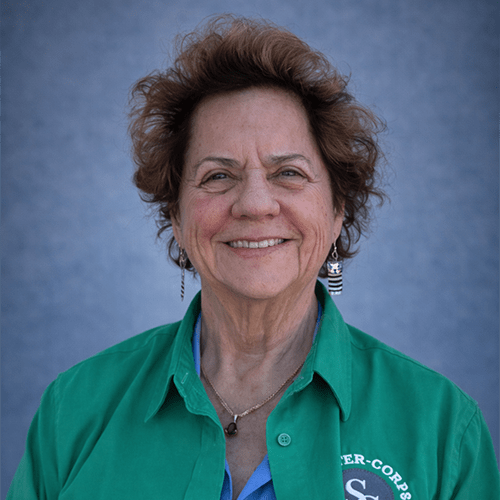 Sherry Gibbons